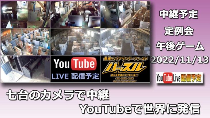 豊橋ハッスルライブ デイゲーム定例会 午後ゲーム 2022/11/13