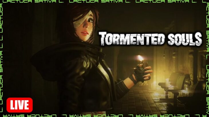 【Tormented Souls】バイオハザードライクときいてホラーゲーム実況プレイ