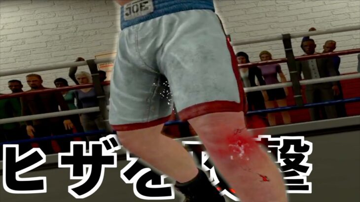 【ボクシングの試合中に寝っ転がったら最強説】ボクシングVR実況（The Thrill of the Fight – VR Boxing）