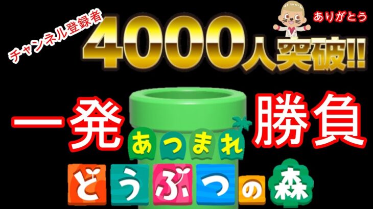 【あつ森・ライブ】　皆ありがと～(^^♪　４０００人突破記念・一発勝負土管ゲーム