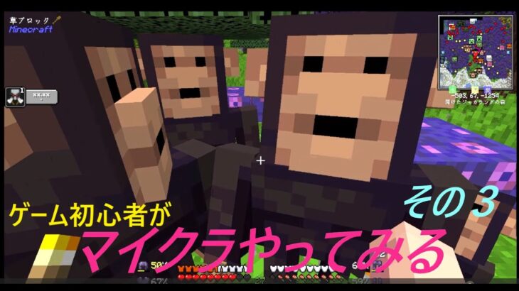 見ても身にならないゲーム実況【マイクラ】その３