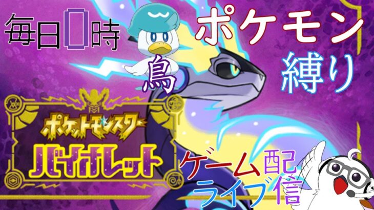 【鳥ポケ縛】毎日0時！ゲームライブ配信！「ポケットモンスターバイオレット」＃３　初見さん！コメント歓迎！