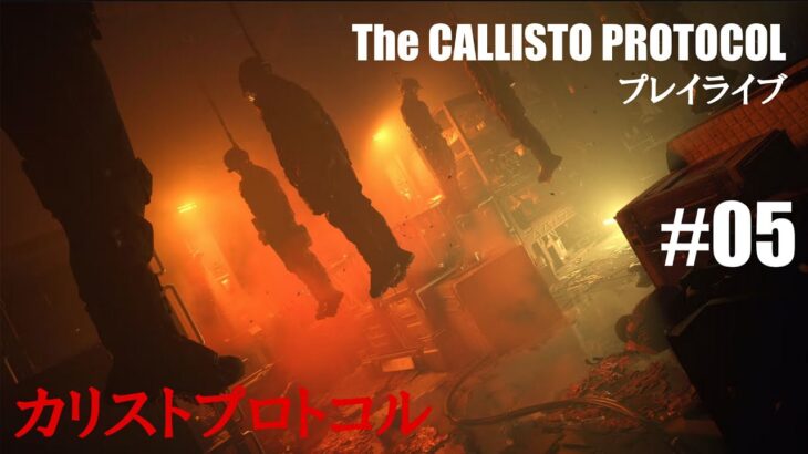 #5【カリストプロトコル】北米版だけど、完全日本語！まったりライブ【The Callisto Protocol】PS5 版だよ