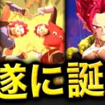 遂に新たな合体戦士。シャレット誕生がヤバすぎた【ドラゴンボールレジェンズ】【DRAGONBALL LEGENDS】【ゲーム実況】【レジェンズフェスティバル】