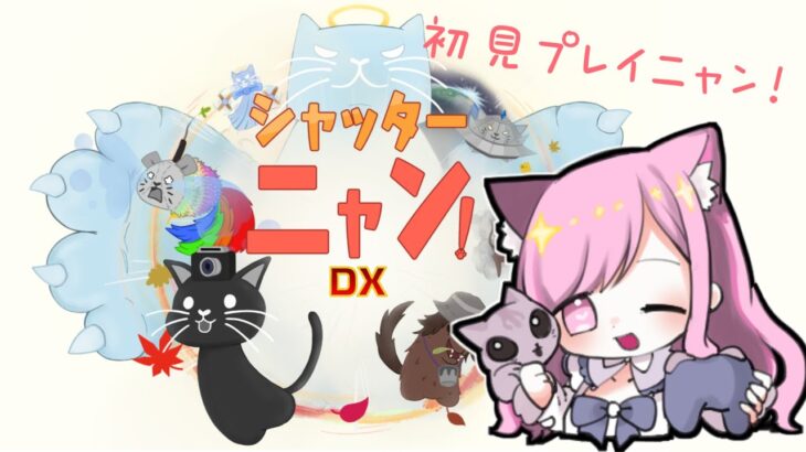 【#ゲーム実況 / PR】猫、カメラのプロになります📷✨その２【#新人Vtuber🐱るしえ】