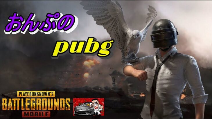 【PUBGMOBILE】ター君杯練習　デュオルーム