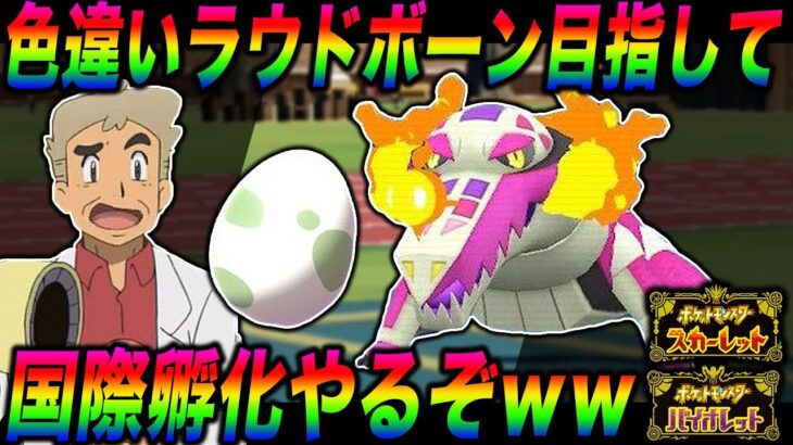 【ポケモンSV】色違い『ラウドボーン』を目指して国際孵化をやるぞｗｗ口の悪いオーキド博士の実況【スカバイ】