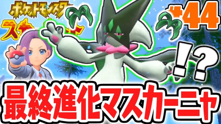 ニャオハの最終進化マスカーニャに大苦戦!?ライバルに勝ってナッペ山ジムへ!!ポケモンSV最速実況Part44【ポケットモンスター スカーレット・バイオレット】