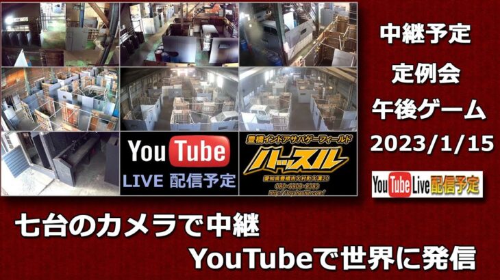 豊橋ハッスルライブ デイゲーム定例会 午後ゲーム 2023/1/15