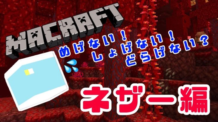 【#マイクラ／#ゲーム実況】　しかくい　せかい　で　まくらふと。#25【 #新人Vtuber ／ #ゆめみてひねの】ですです