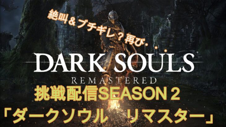 【#ゲーム実況】鬼ゲーに挑戦！SEASON2　PS4「ダークソウルリマスタード」お正月特別編part2【#ダークソウル 】