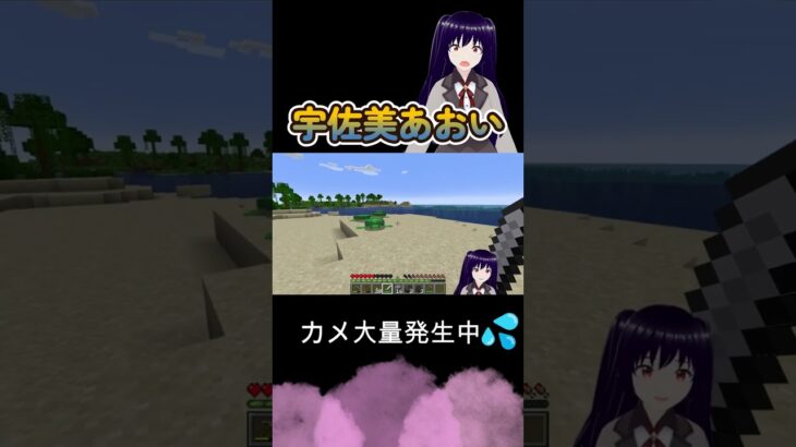 カメ大量発生中🐢＃Shorts#vtuber #新人vtuber #ゲーム実況 #関西弁vtuber #minecraft #minecraftshorts #マイクラ #亀#マインクラフト