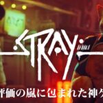 Stray　猫のゲーム　ライブ配信[Live]