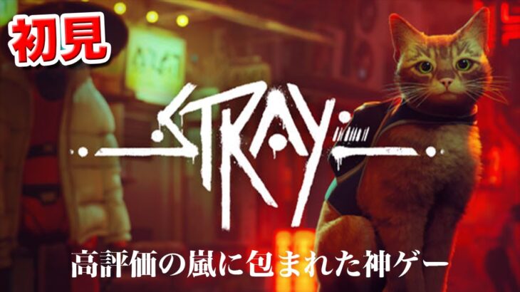 Stray　猫のゲーム　ライブ配信[Live]