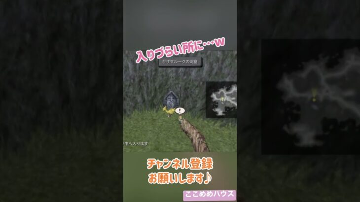 天然小ボケ。#shorts #ffshorts #ffshort #ff9 #ゲーム実況 #gameplay #ライブ #ゲーム配信 #実況プレイ #ここめめハウス #チョコボ #初見プレイ