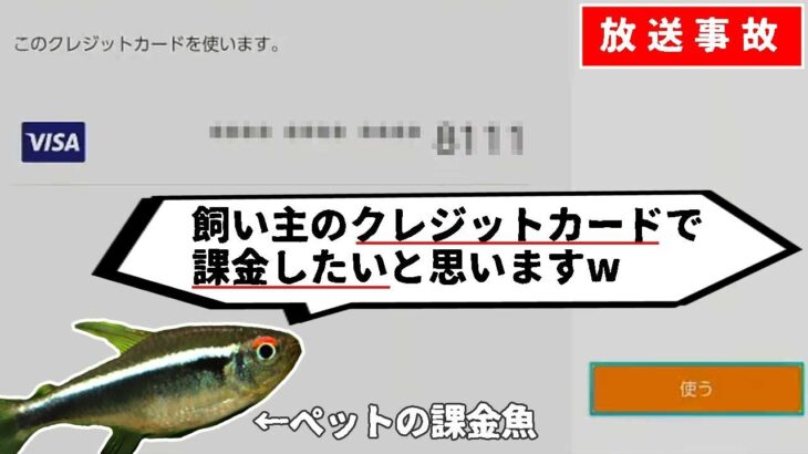 ライブ配信でペットの魚にクレジットカード情報を公開され、挙句の果てに決済されてしまった件について