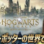 【ホグワーツ・レガシー】08 女性ゲームライターがハリー・ポッターの世界で魔法使いに！ゴブリディグック語の内容、勝手なビジネス、ニーフ・フィッツジェラルドの試練(Hogwarts Legacy)