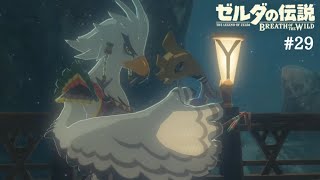 主婦がゲーム実況に挑戦中【ゼルダの伝説 ブレスオブザワイルド】#29 テバをさがして