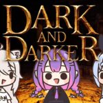 【Dark and Darker】話題のゲームに初見で侵入してみる！！！！！！！！！！！with PEBOTぺこ！【ホロライブ/兎田ぺこら】