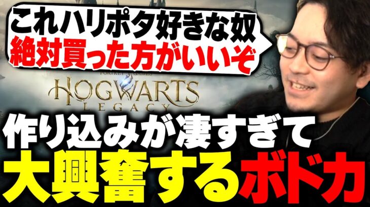 想像以上に作り込みにハリポタファンのボドカも大興奮【ホグワーツレガシー/Hogwarts Legacy】