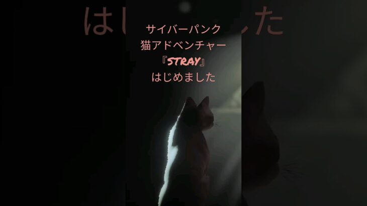 サイバーパンク猫アドベンチャー『STRAY』はじめました🐈  #ゲーム実況　#猫　#ライブ配信