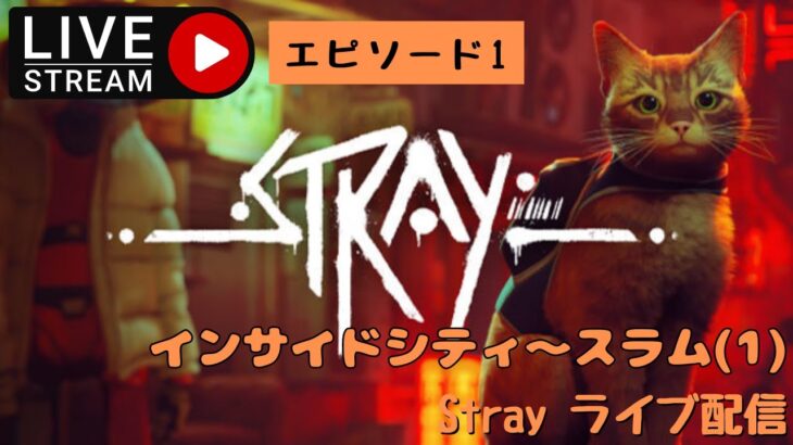 第781回 ライブ配信【Ep.1 ストレイ】＊ネタバレあり【ゲーム実況】Stray