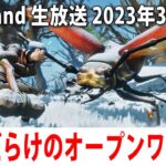 【Smalland】新発売された昆虫だらけのオープンワールドゲームをライブ配信【アフロマスク 2023年3月30日】