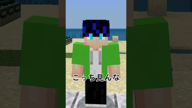 マイクラのおかしいところ【マイクラ】#shorts #ゲーム実況 #マイクラ