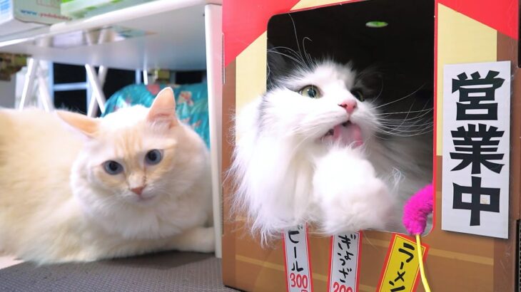 【悲報】さようならの猫屋台。