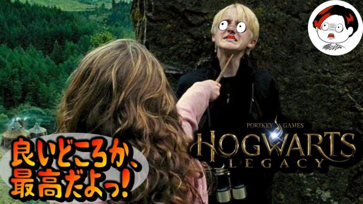 【アバダマダ？】 HOGWARTS LEGACY #10 ホグワーツレガシー  まったり ゲーム実況【概要欄見てne】