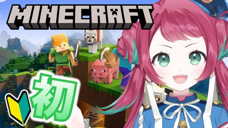 【マイクラ】 初めてのマインクラフトゲーム実況！！！！#minecraft【#新人vtuber /#作業用bgm 】#宝灯桃汁