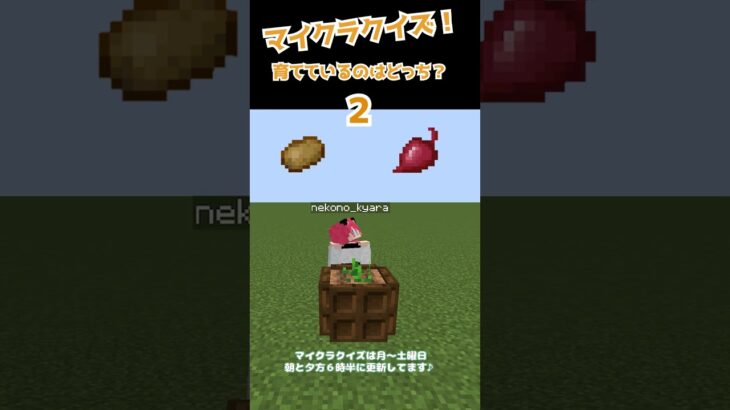 【マイクラクイズ】育てているのはどっち？【マイクラ】【minecraft】【ゲーム実況】【vtuber】　#shorts