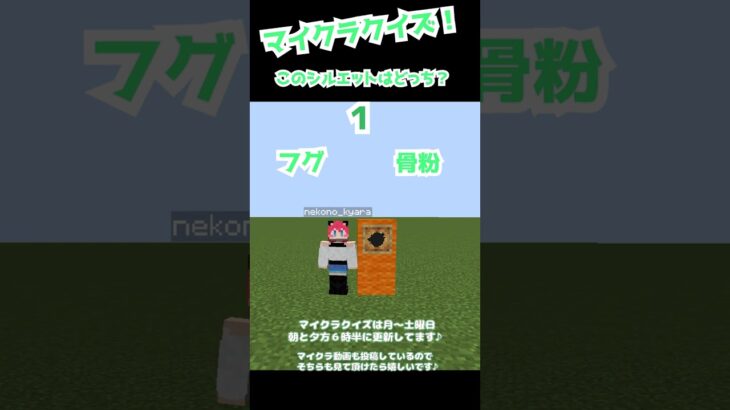 【マイクラクイズ】このシルエットはどっち？【マイクラ】【minecraft】【ゲーム実況】【vtuber】　#shorts