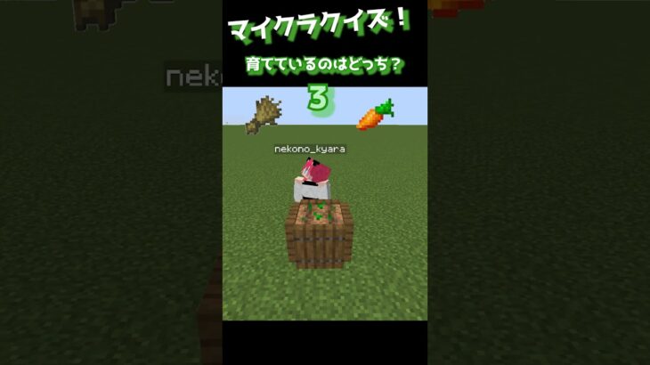 【マイクラクイズ】育てているのはどっち？【マイクラ】【minecraft】【ゲーム実況】【vtuber】　#shorts