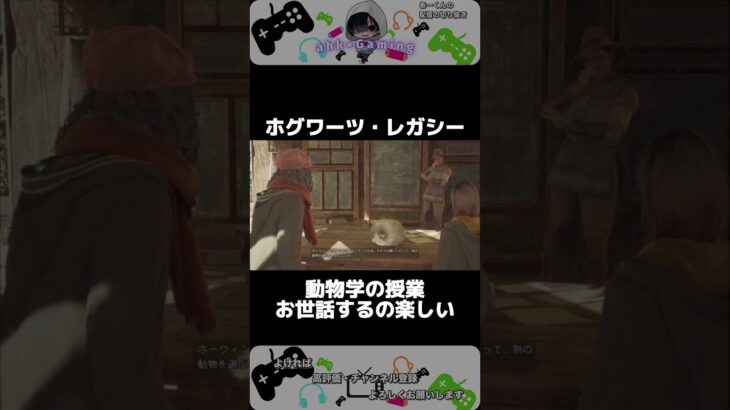 新たな日課になりそう【ホグワーツ・レガシー】 #ゲーム実況 #配信 #shorts