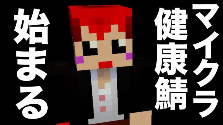 【12日目 #マイクラ健康鯖 】サーバー最終日!!【赤髪のとも】