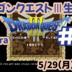 【ドラゴンクエストⅢ】#15 moricraゲーム実況【ラダトーム】