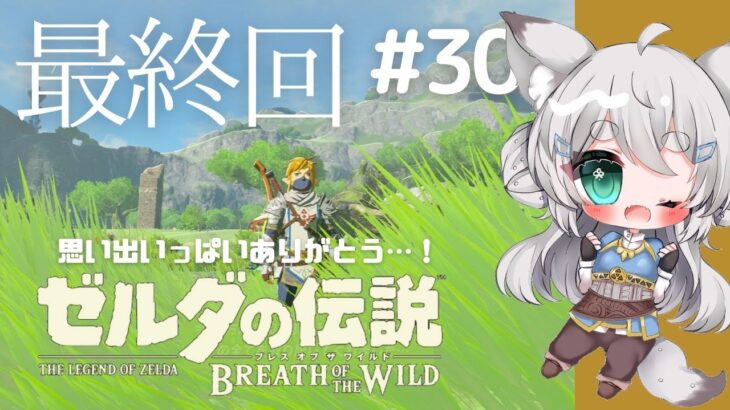 【はじめての】ゼルダの伝説 ブレスオブ ザ ワイルド【 #30最終回】