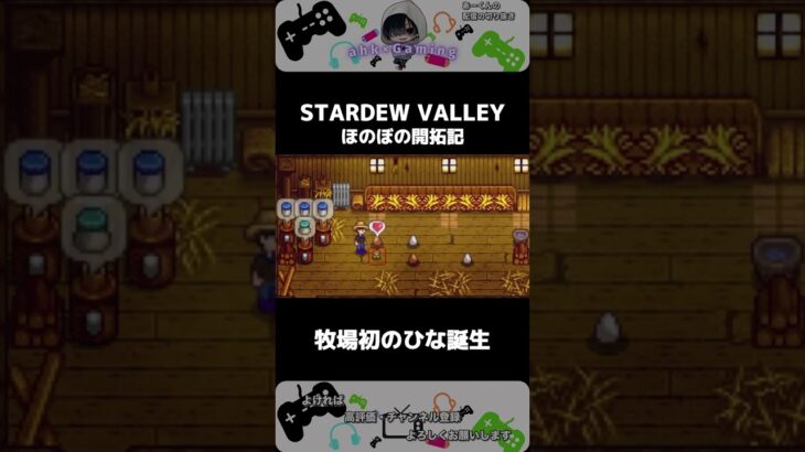 卵が孵りました！【STARDEW VALLEY】 ＃shorts ＃ゲーム実況 ＃配信