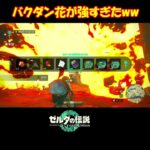 バクダン花が強すぎたww #shorts #ゲーム実況 #ゼルダの伝説 #ゼルダの伝説ティアーズオブザキングダム #ティアーズオブザキングダム