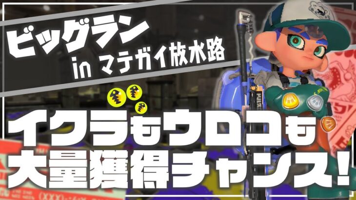 【たつじん向け解説】たつじん+2を繰り返し実況解説【サーモンランNW/スプラトゥーン3】