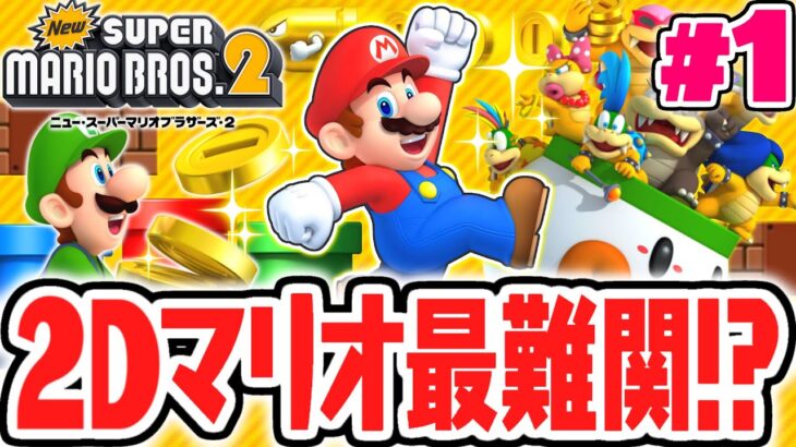 999万9999枚のコインをゲットせよ!!2Dマリオ史上最難関ゲームが始まる!!3DS名作実況Part1【Newスーパーマリオブラザーズ2】