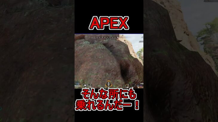 【APEX】結構上まで登れるのか！！　#shorts   #apex #apexlegends    #切り抜き　#ゲーム実況