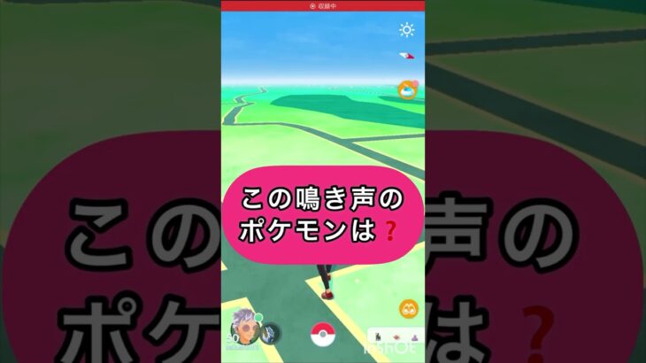 鳴いているポケモンは⁉️【ポケモンGO】#ゲーム実況 #ポケモン #pokemon