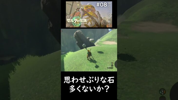 コログを探して三千里 #shorts #ゲーム実況 #切り抜き #ゼルダの伝説 #zelda #ティアキン