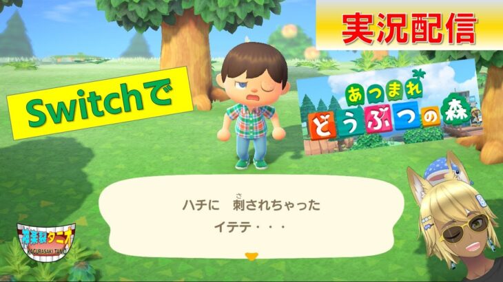 ゲーム実況配信！#switch #配信 #あつまれどうぶつの森 #参加型