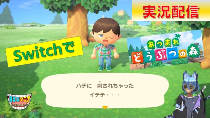 ゲーム実況配信！#switch #配信 #あつまれどうぶつの森 #参加型