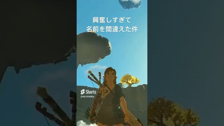 上半身 #ゼルダの伝説 #ゼルダの伝説ティアーズオブザキングダム #ゲーム実況