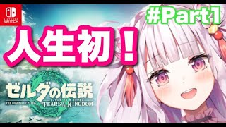 初見歓迎【#ティアキン】人生初の #ゼルダの伝説 ゲーム実況やってみた【#新人vtuber 】