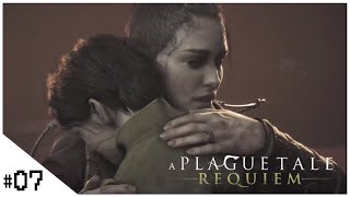 #07 END【A Plague Tale: Requiem (プレイグ テイル -レクイエム-)】せんせいのゲーム実況【生放送】